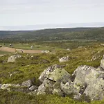 Pellestova Hafjell