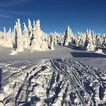 Pellestova *