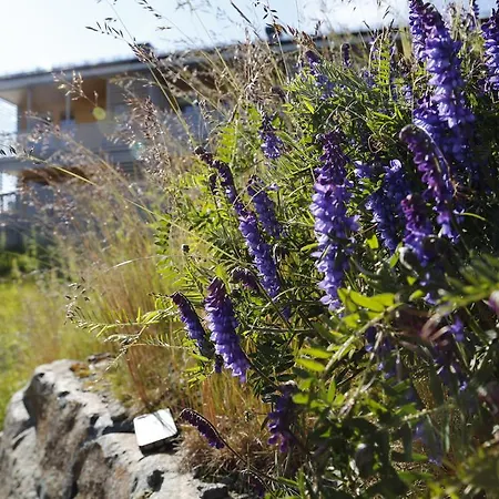 Pellestova Апартаменты