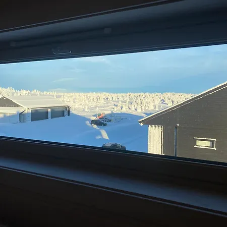 Apartment Pellestova *