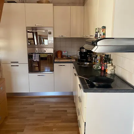 Apartment Pellestova