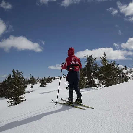 Апартаменты Pellestova Хафьель