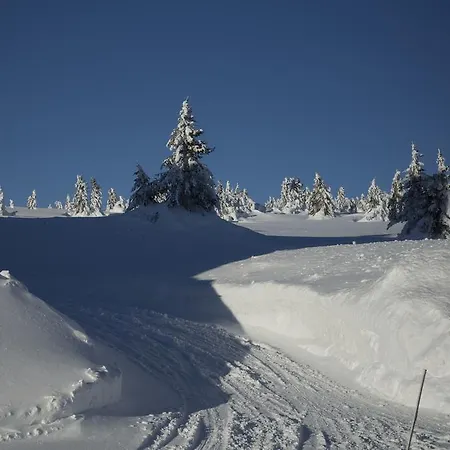 Pellestova * Хафьель