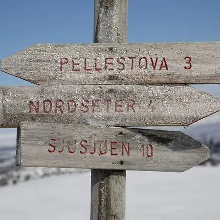 Lejlighed Pellestova Hafjell