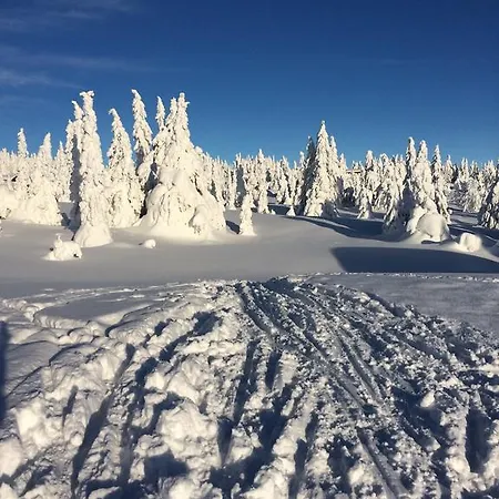 Pellestova *