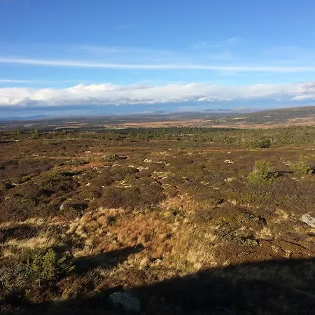 Pellestova Апартаменты