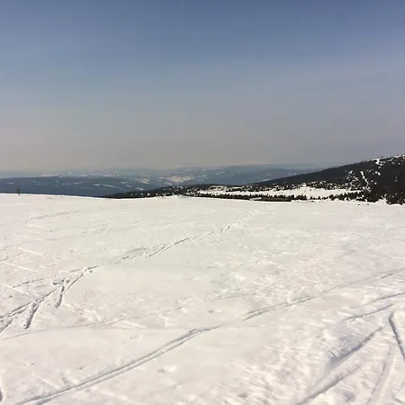 Pellestova * Hafjell