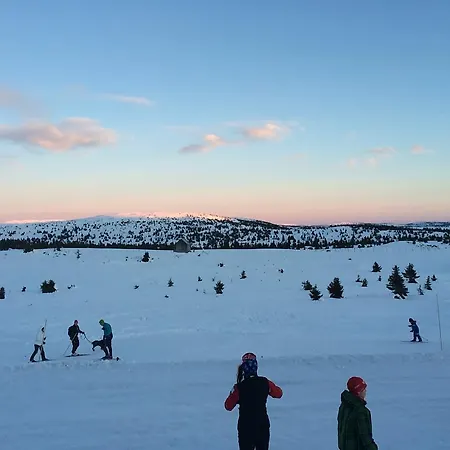 Апартаменты Pellestova