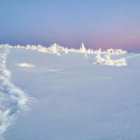 Pellestova Lejlighed *