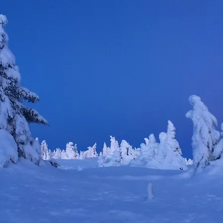 Apartment Pellestova Hafjell