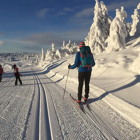 Апартаменты Pellestova