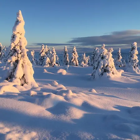 Pellestova Lejlighed Hafjell