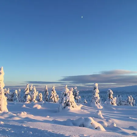 Pellestova Хафьель