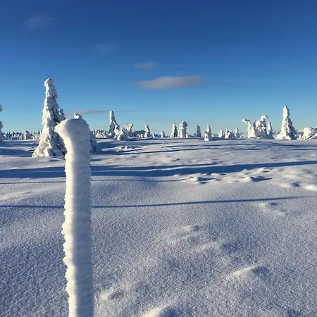 Pellestova شقة