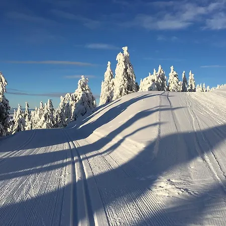 Apartment Pellestova Hafjell