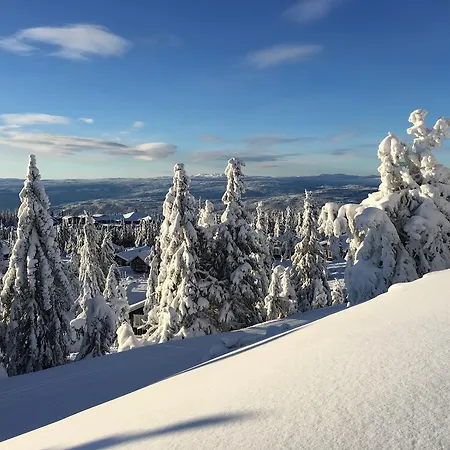 Pellestova * Hafjell