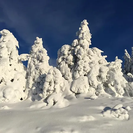 Апартаменты Pellestova