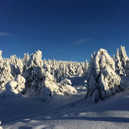 Pellestova Hafjell