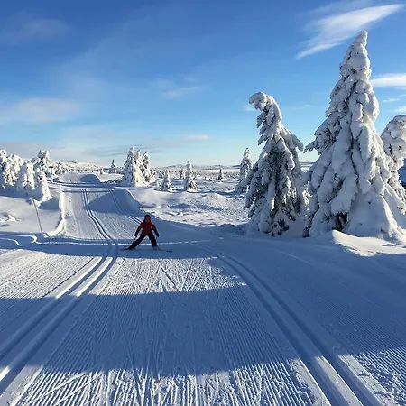 Apartment Pellestova Hafjell