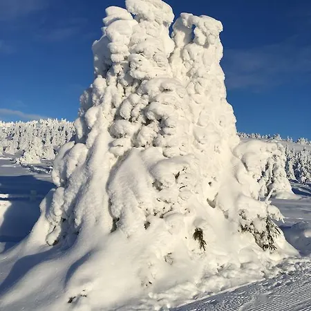 Pellestova Апартаменты Хафьель