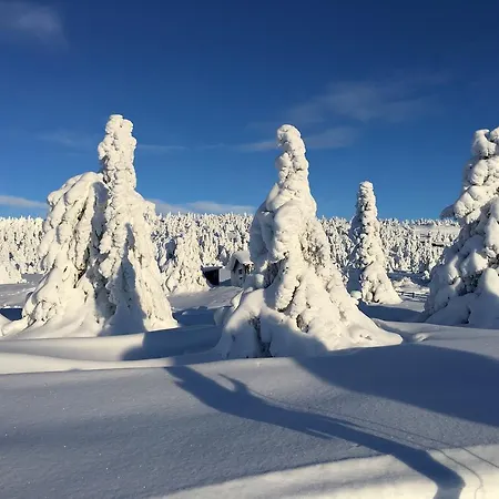 Pellestova Хафьель