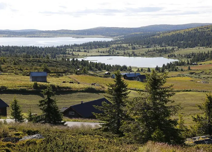 Pellestova Appartement