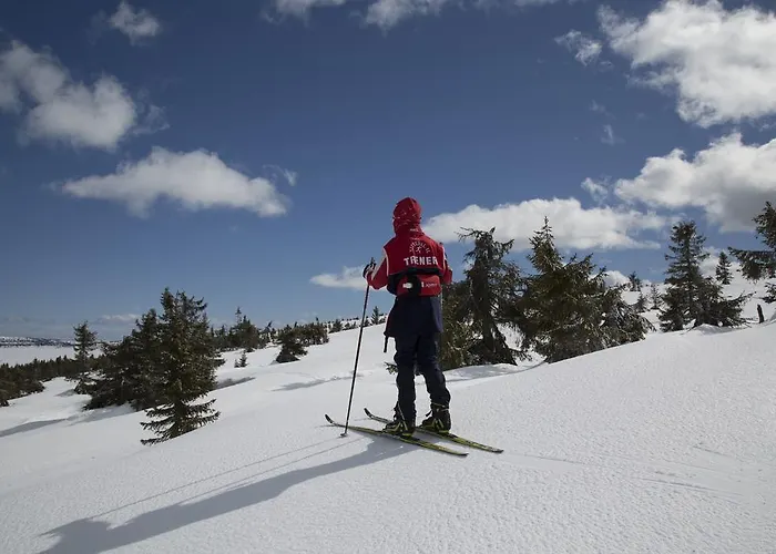 Appartement Pellestova Hafjell