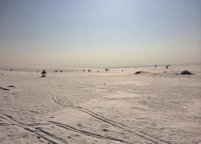 Pellestova Apartament *