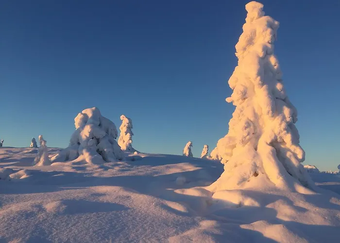 Apartament Pellestova *