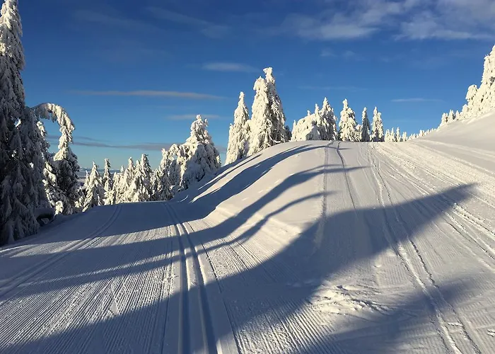 Appartement Pellestova Hafjell