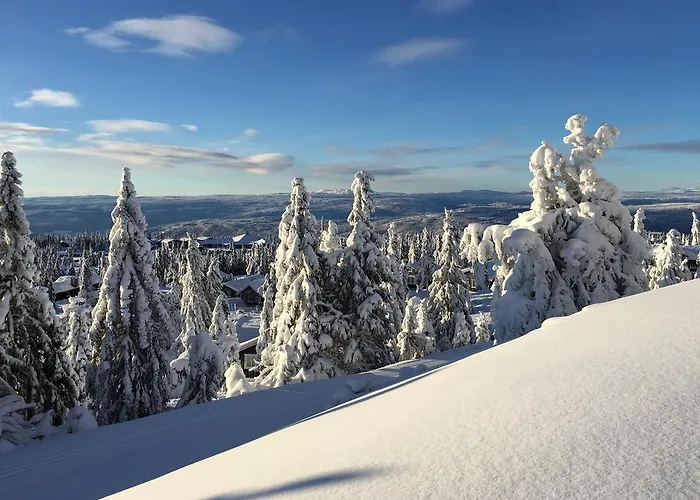 Pellestova * Hafjell