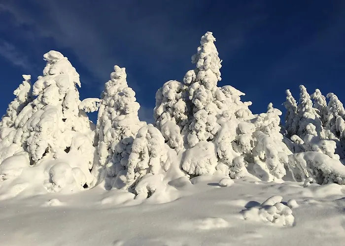 Appartement Pellestova