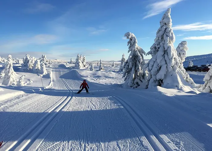 Appartement Pellestova Hafjell