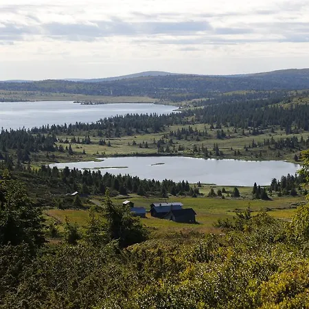 Pellestova Daire Hafjell