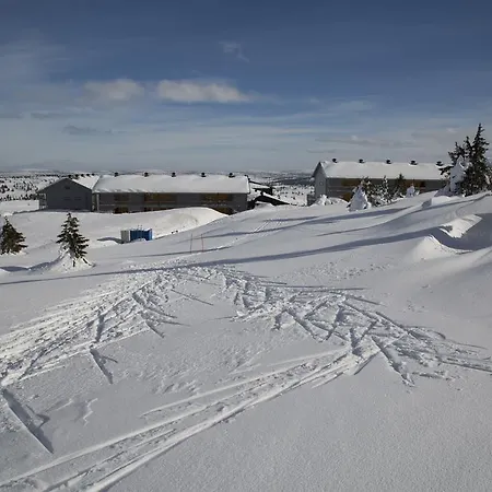 Pellestova * Hafjell