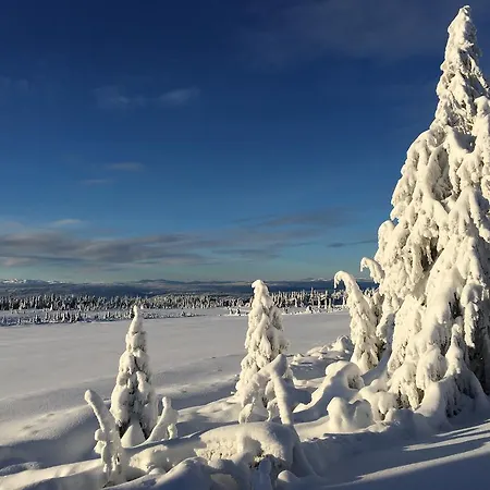 Pellestova Daire Hafjell