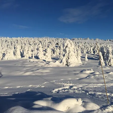 Pellestova * Hafjell